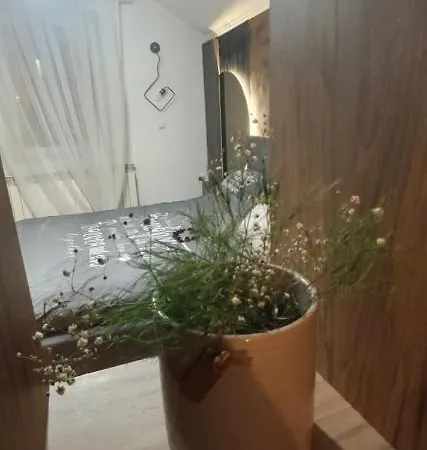 Sleep And Drive Exclusive